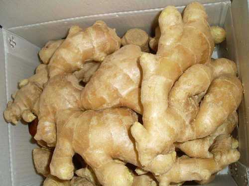 Dried ginger