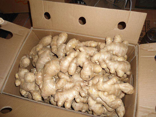 Dried ginger