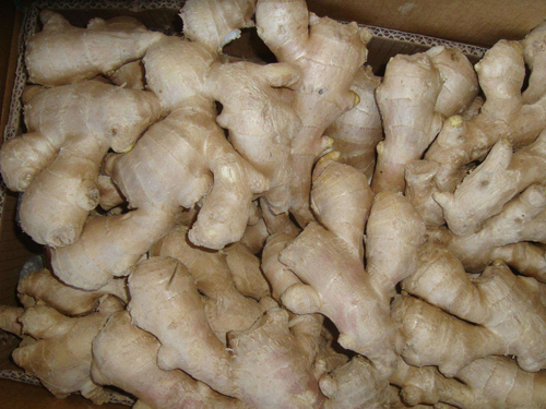 Dried ginger