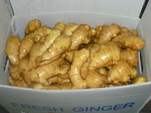 Dried ginger