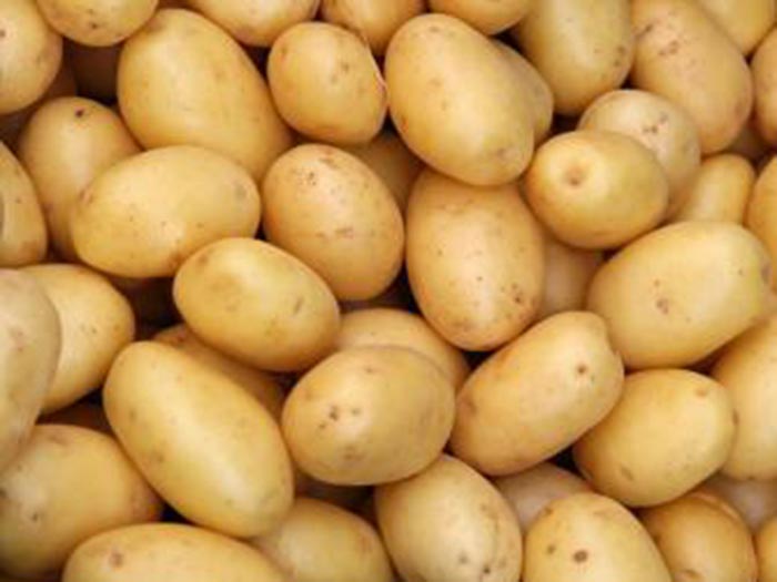 potato