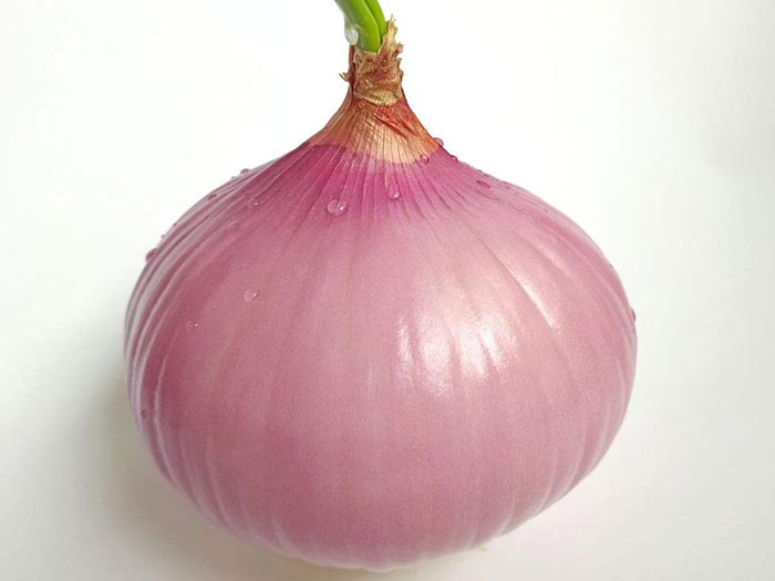 Onion