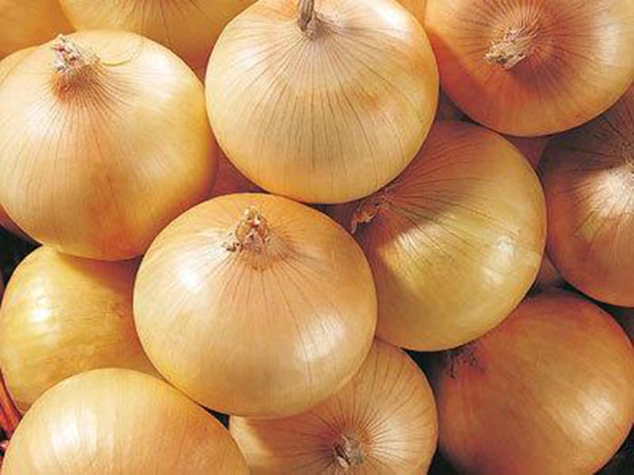 Onion