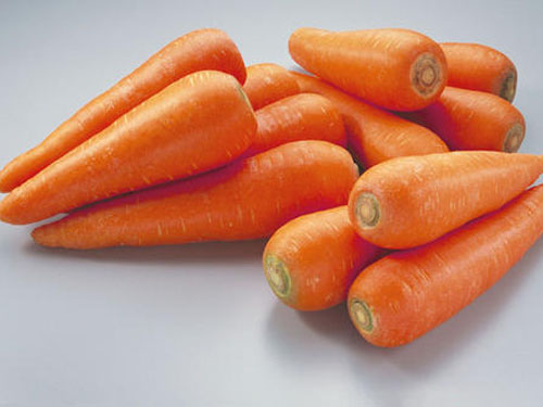 carrot